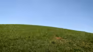 Mine Land Reclamation
