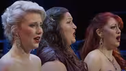 Der Rosenkavalier: Hab mir's gelobt