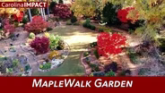 MapleWalk Garden | Carolina Impact