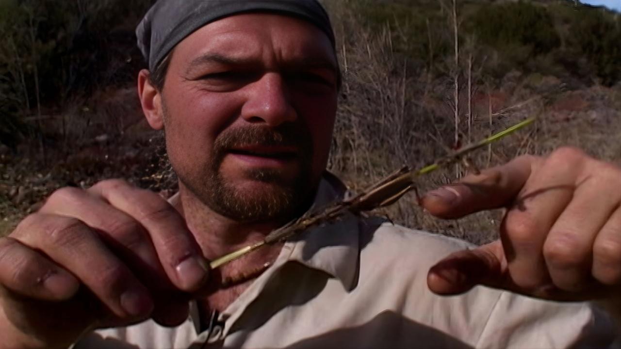 Les Stroud's Survivorman