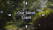 Our Silent Giant
