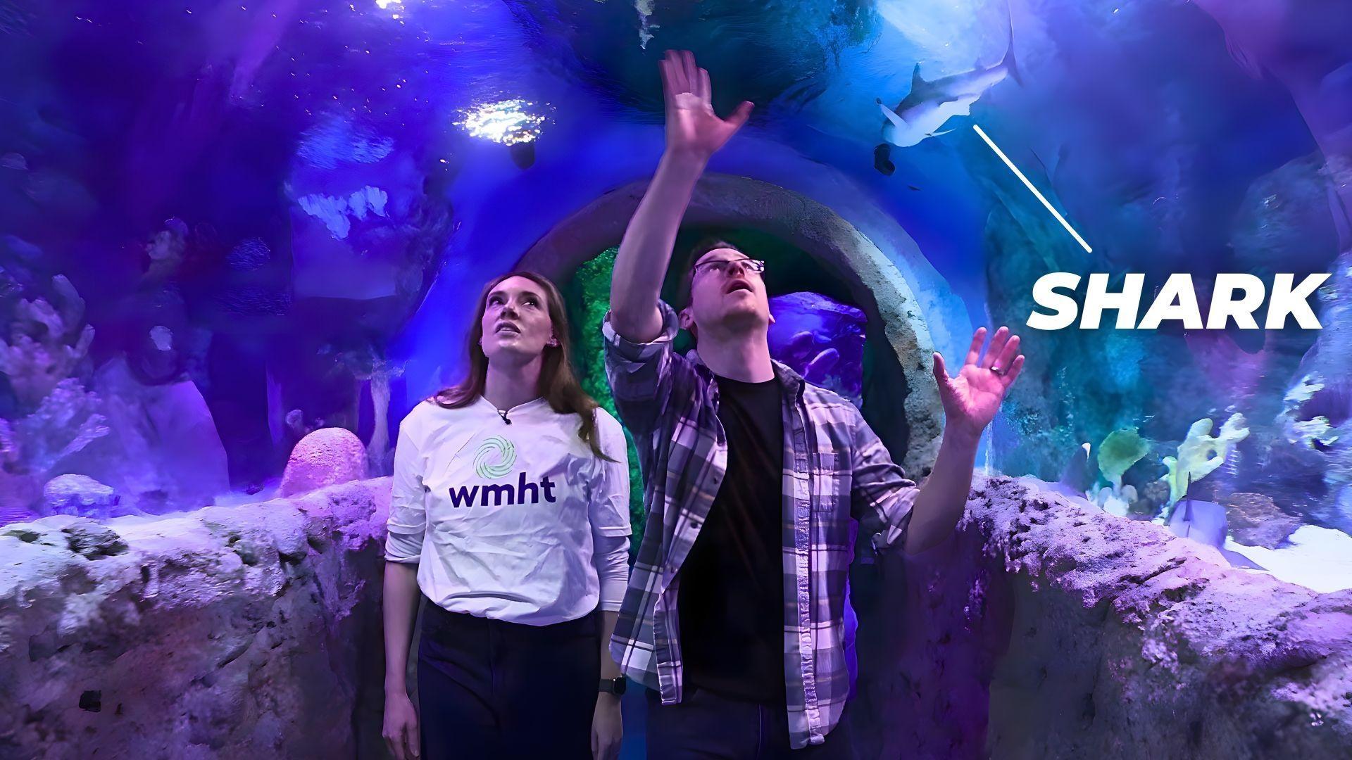 Matt and Nicole explore the VIA Aquarium in Rotterdam, NY on this Field Trip.