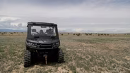 Too dry to ranch? Livestock producers grapple with drought