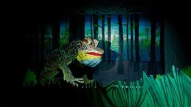 Video thumbnail: PBS Online Film Festival Animal Facts Club Presents - Endangered Rituals