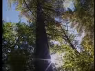 More Logging