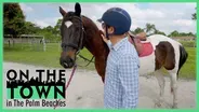 Equine Therapy | On the Town, Health & Wellness