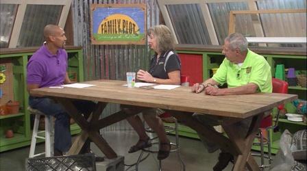 Video thumbnail: The Family Plot Building a Grow Light & Reliable Gardening Advice Online