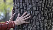 Forest Her: The Next Wave of Conservation