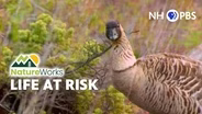 Life at Risk