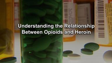 Relationship between Opioids and Heroin