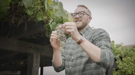 Video thumbnail: Lost LA Lost LA Season 5 (Preview)