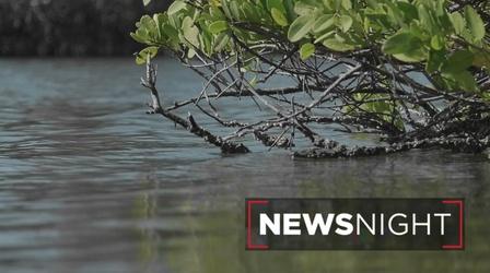 Video thumbnail: NewsNight The impact of Biden's environmental policies on Florida