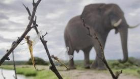 Episode 1: Pulse - Preview: asset-mezzanine-16x9