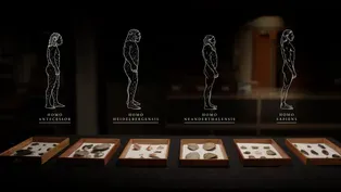 How Neanderthals Came to Inhabit Northwest Europe