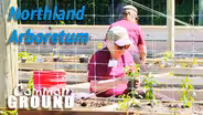 Northland Arboretum-Premier Destination for All