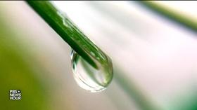 Video thumbnail: PBS NewsHour Can scientists harvest fog to secure world's water supply?