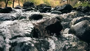 When the Waters Speak...