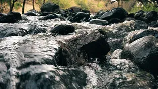 When the Waters Speak...