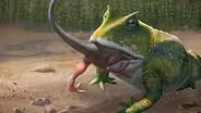 The Biggest Frog that Ever Lived