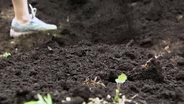 Non-Selective Herbicides & Top Dressing Compost