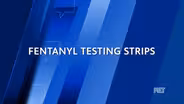 Fentanyl Testing Strips