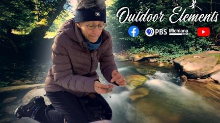 Video thumbnail: Outdoor Elements Pungent Wild Onions