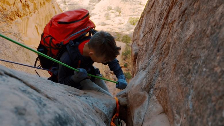 The Survivalists Image