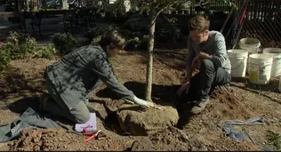 Peggy plants a tree at Maymont Park