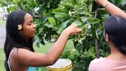 A Day for Lei