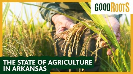 Video thumbnail: Good Roots The State of Agriculture 2022