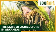 The State of Agriculture 2022
