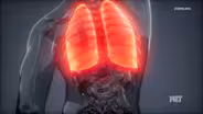 New Report on Lung Cancer in Kentucky