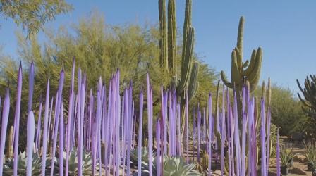 Video thumbnail: PBS NewsHour Glass artist takes inspiration from the Arizona desert