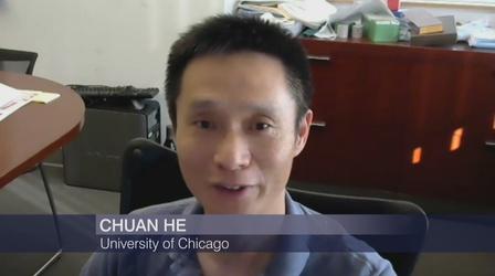 Video thumbnail: Chicago Tonight UChicago-Led Team Discovers Way to Boost Crop Production