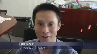 UChicago-Led Team Discovers Way to Boost Crop Production