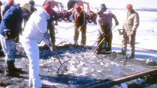Piechowski Fishing and Protecting Water