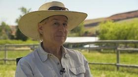 Video thumbnail: Farm to Fork Wyoming Homestead Sheep