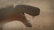 A Tale of Tusks and Saber Teeth