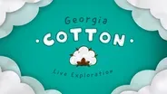 Live Exploration: Georgia Cotton