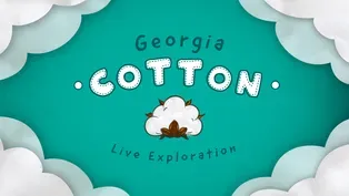 Live Exploration: Georgia Cotton