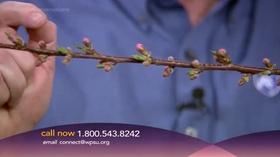 Video thumbnail: Conversations Live Get Your Garden On! - Spring 2019