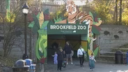 Brookfield Zoo Marks 100 Years Since Groundbreaking
