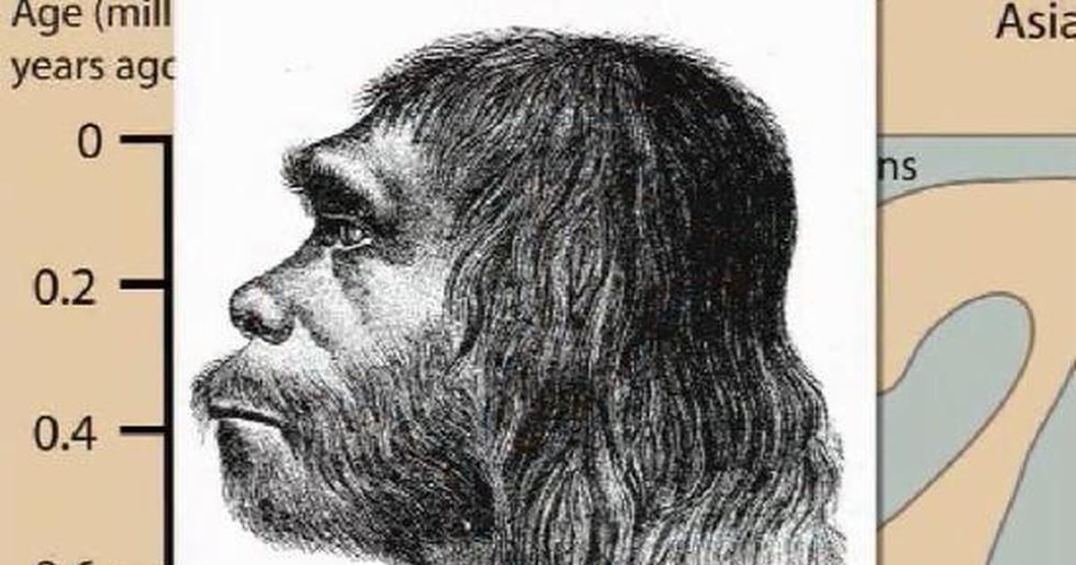 Our Origins: Exploring The Human Spark | Twin Cities PBS
