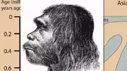 Early Humans
