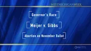Michigan November 2022 Elections Preview