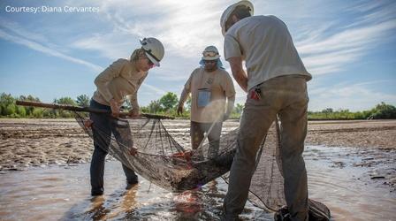 Video thumbnail: Our Land: New Mexico’s Environmental Past, Present and Future Source New Mexico Series: ‘Crisis on the Rio Grande’