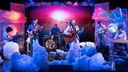 Preview | Blue Cactus
