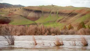 Painted Hills Photo Essay