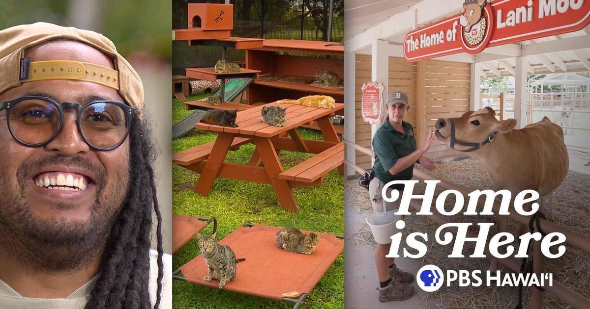 Home is here | 406 lanai cat sanctuary, kenyatta kelechi, keiki zoo | season 4 | episode 6