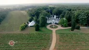 Keswick Vineyards